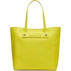 Acid Yellow